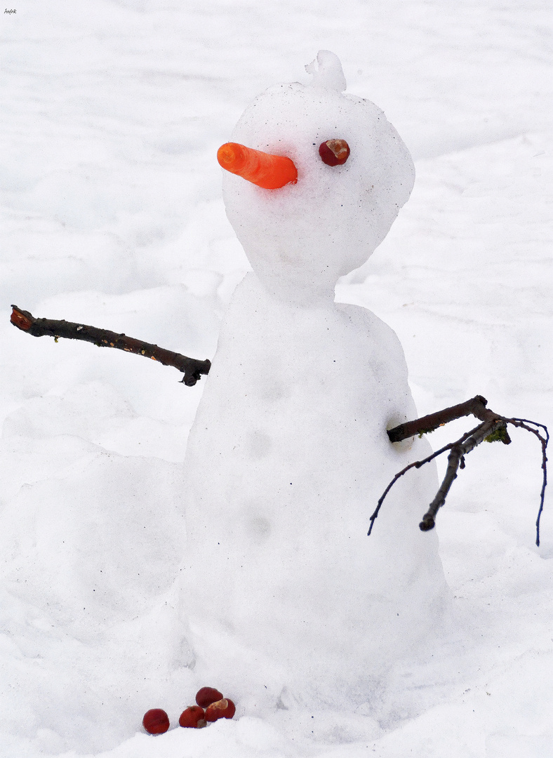 Hilfe, die Schneemänner sterben aus!