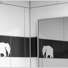 Hilfe!!! Elefanten auf der Damentoilette