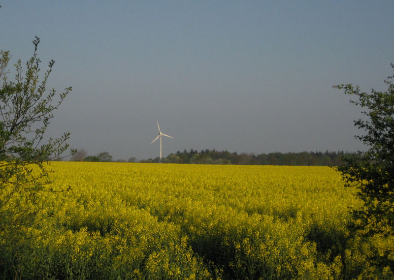 Hilfe für den Klimaschutz in Schleswig-Holstein...