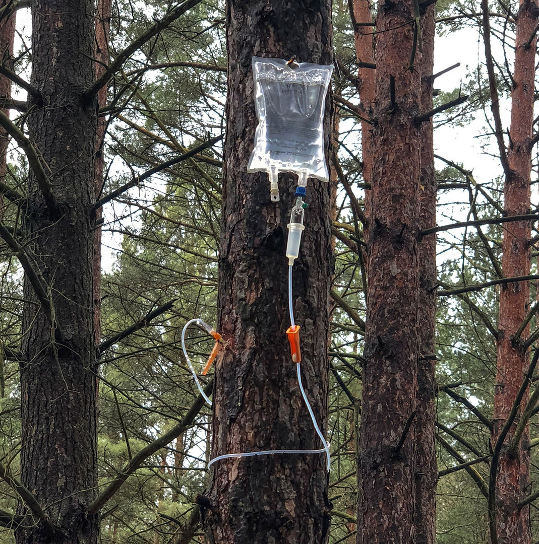 Hilfe für den Wald