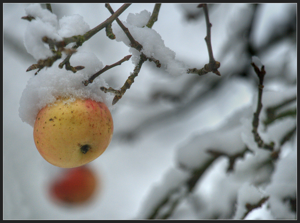 Hilfe, ich erfriere