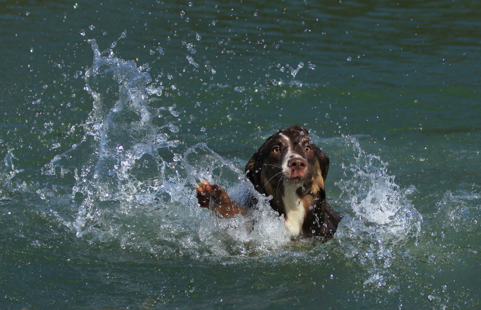 Hilfe ich hab Wasser im Ohr