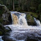 Hilfe, im Schwarzwald sind die Krokodile