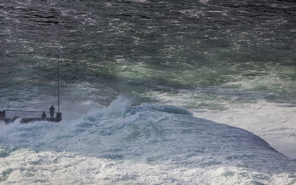 "Hilfe.... - ist das schön hier, mitten im Rheinfall..."