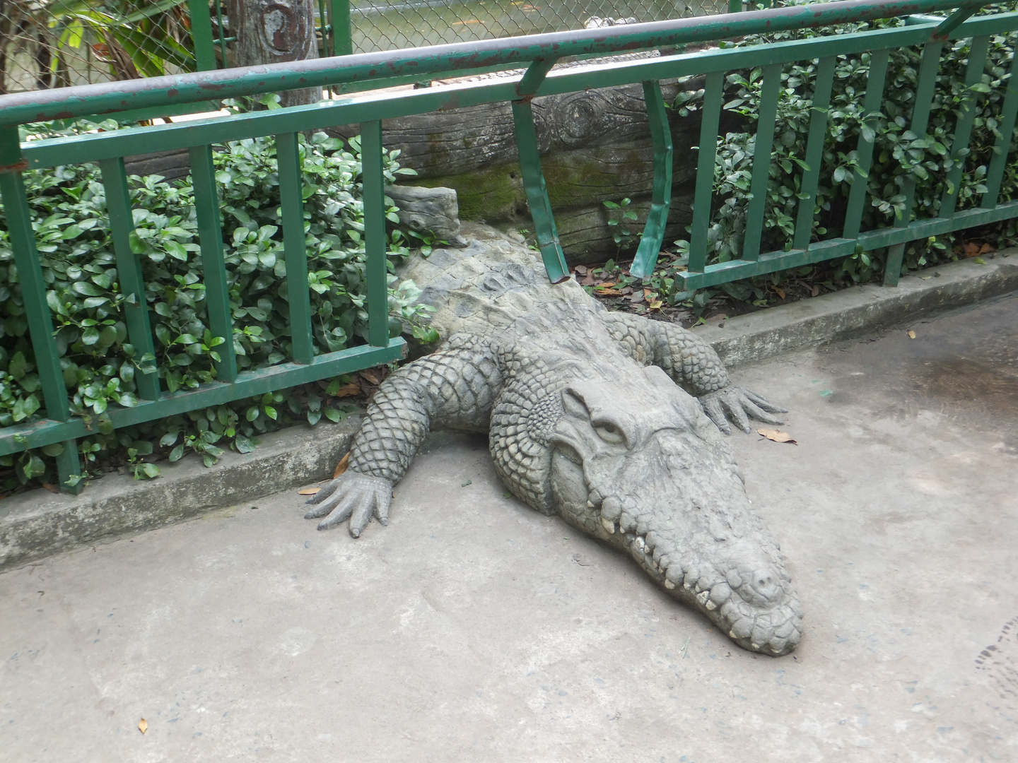 Hilfe! Krokodil bricht aus... - Zoo in Saigon, Vietnam