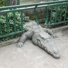 Hilfe! Krokodil bricht aus... - Zoo in Saigon, Vietnam