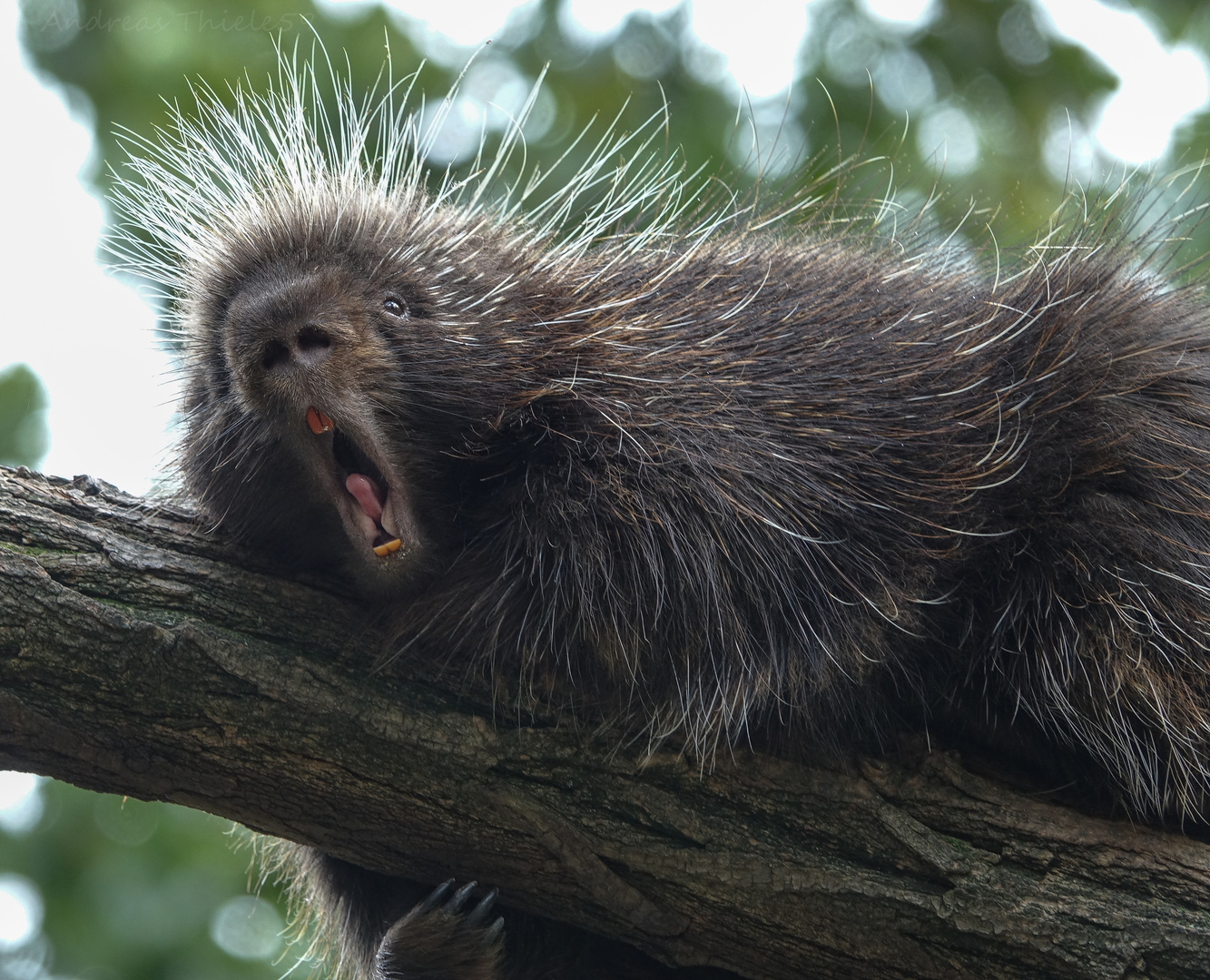 Hilfeee! Morgen ist ja schon wieder Montag!