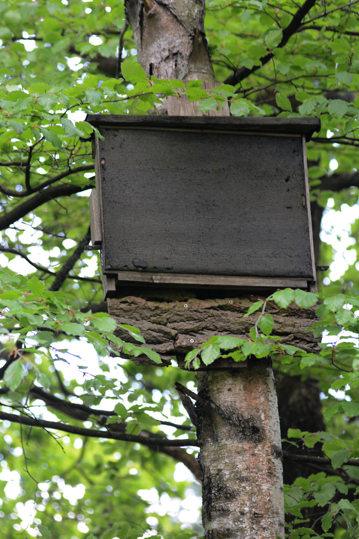 Hilfen für die Tiere im Garten: Großer Fledermauskasten.