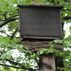 Hilfen für die Tiere im Garten: Großer Fledermauskasten.