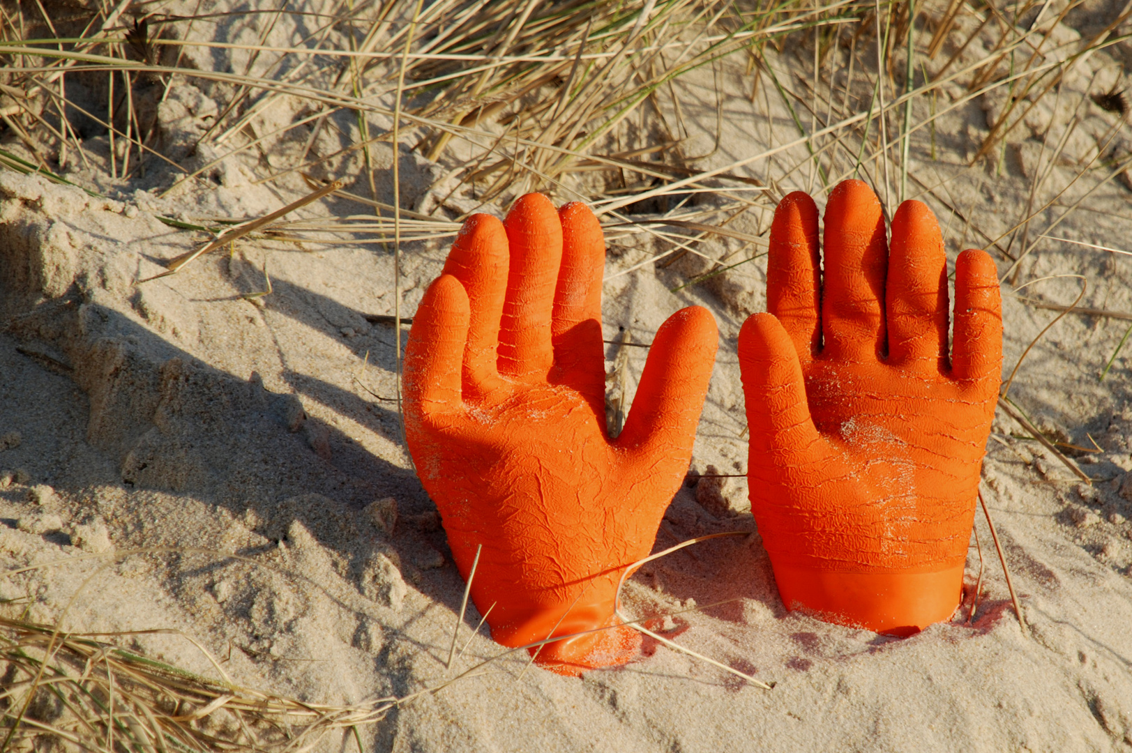 Hilferuf auf Sylt: Holt mich hier 'raus.....!