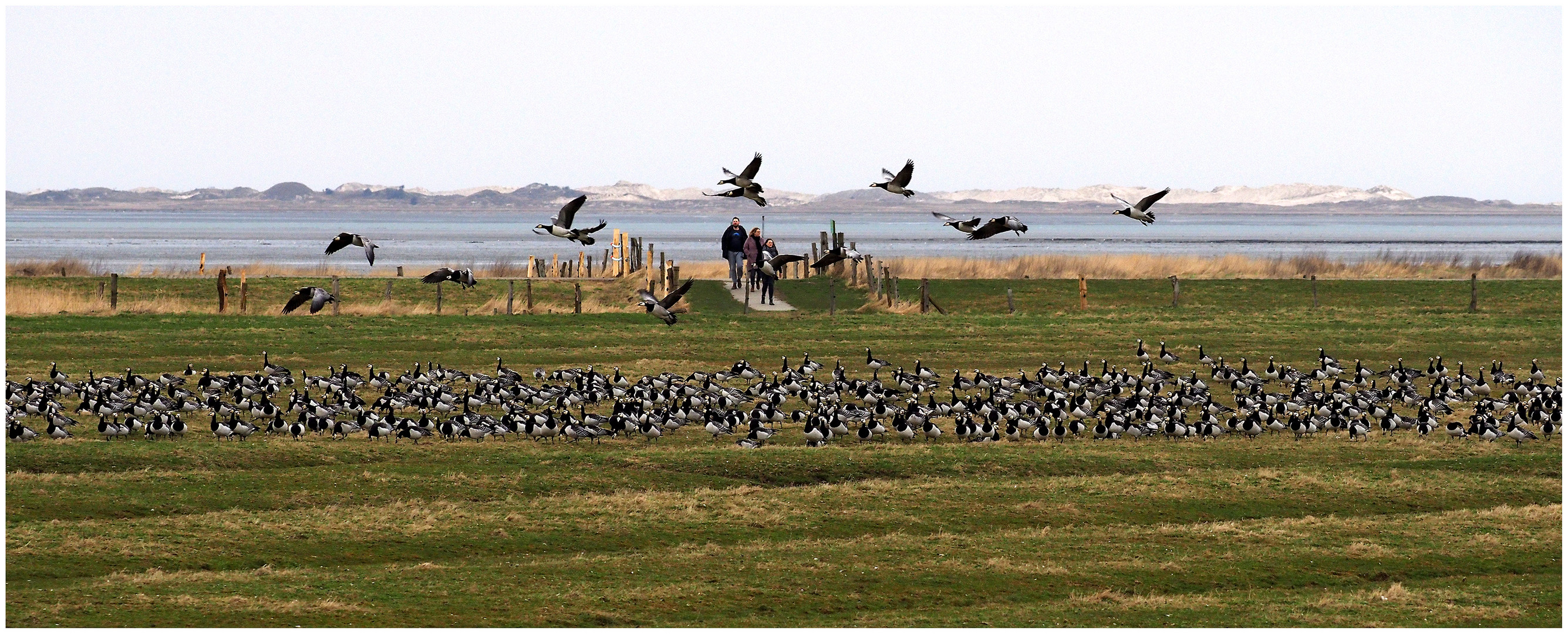 Hilgenriedersiel, Blick nach Norderney