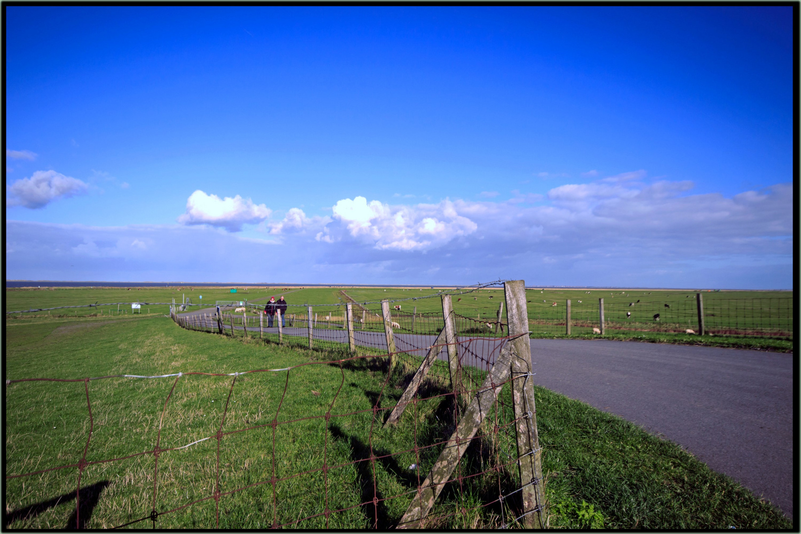 Hilgenriedersiel Ostfriesland Foto & Bild | deutschland, europe