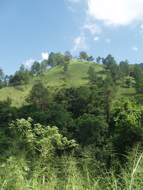 Hill at Jarabacoa