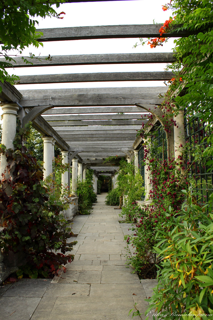 Hill Garden & Pergola