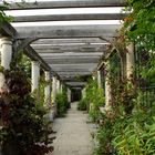 Hill Garden & Pergola