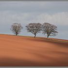 hill near crailinghall Scottish borders