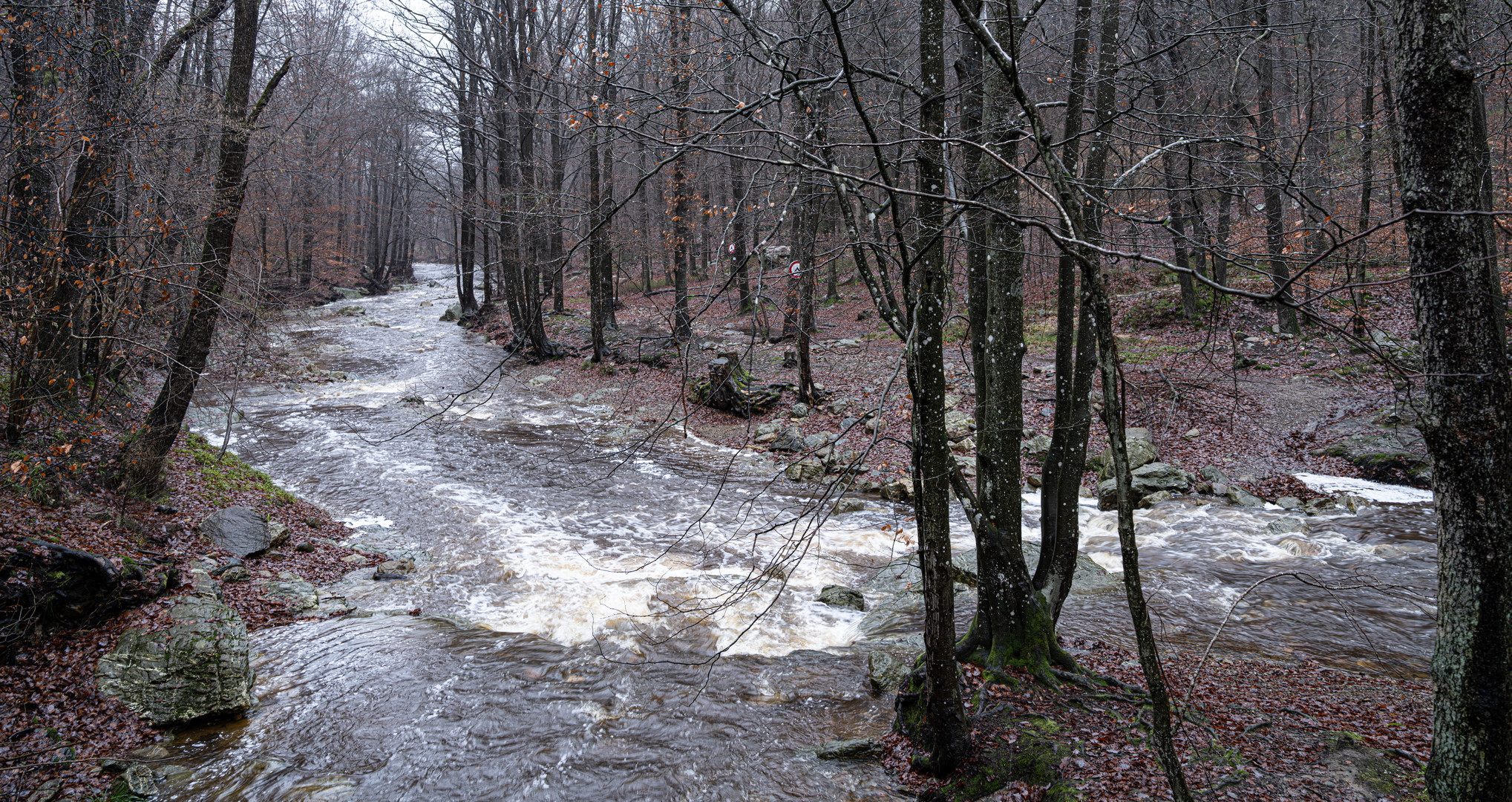 Hill oder Helle 25.12.2023 119