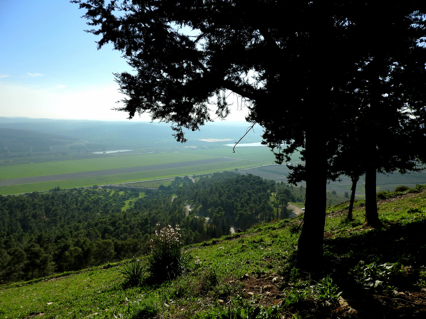 Hill view near Beit Shemesh
