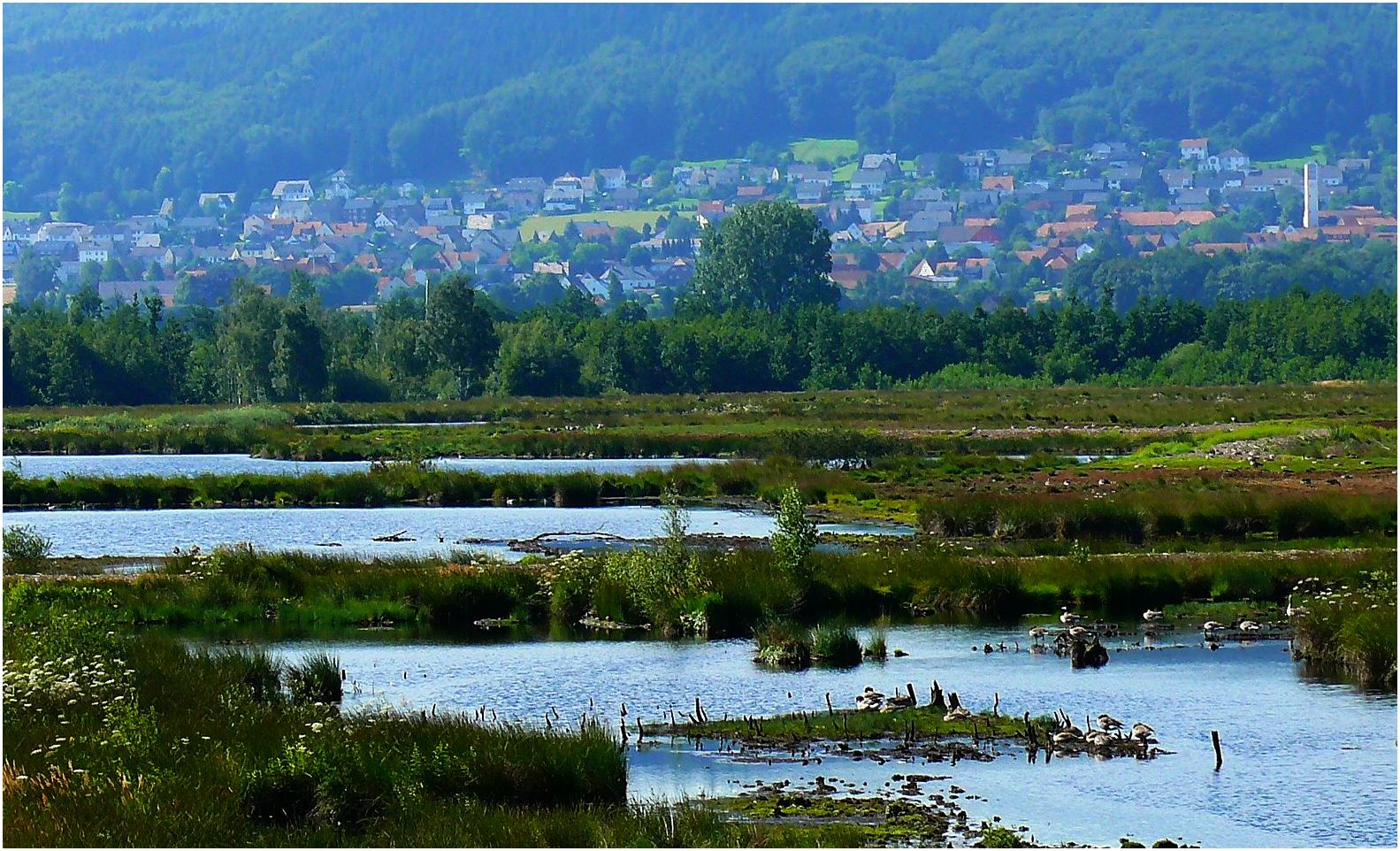 Hiller Moor-im Hint ergrund das Wiehengebirge