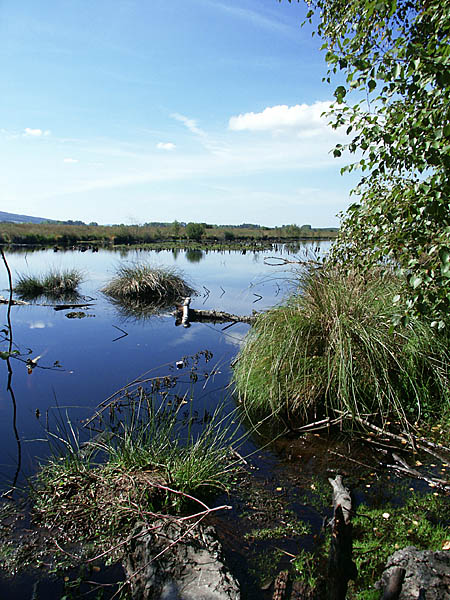 Hiller Moor im September 2003