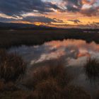 Hiller Moor sundown 