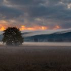 Hiller Moor sunrise