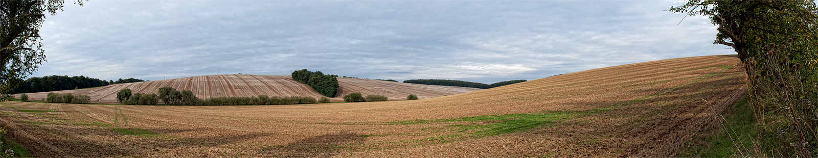 hills have stripes