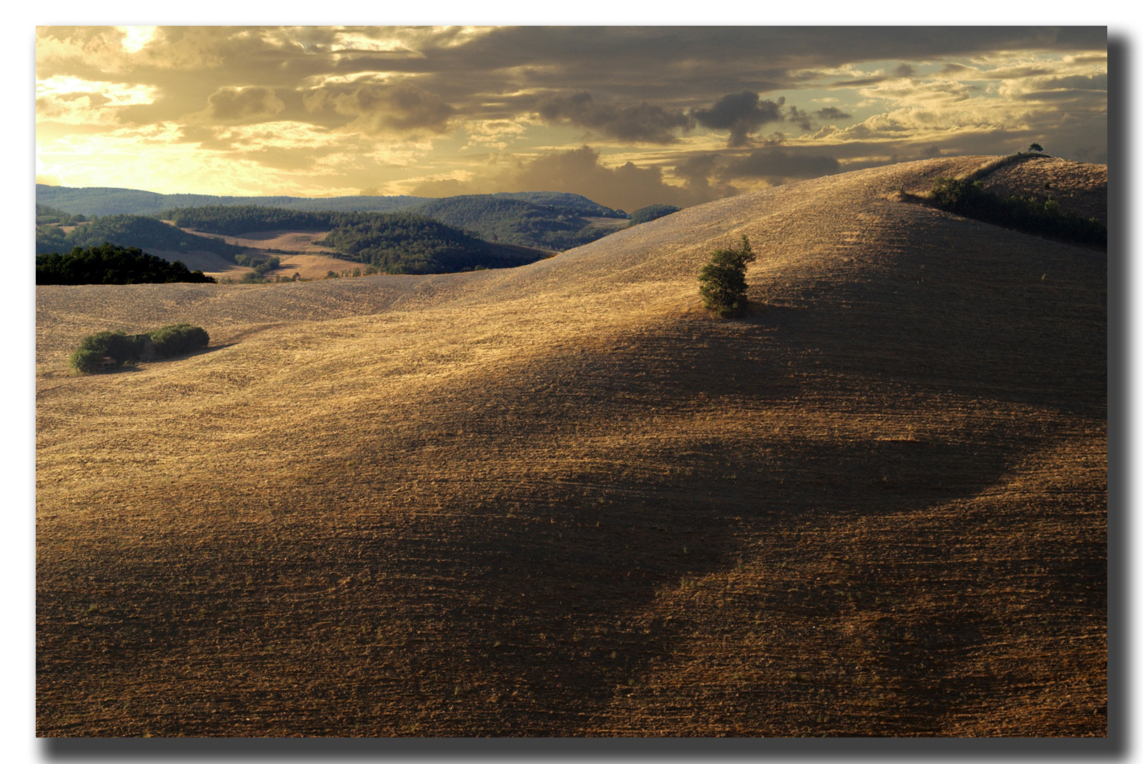 Hills in Tuscany