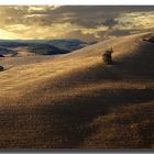 Hills in Tuscany