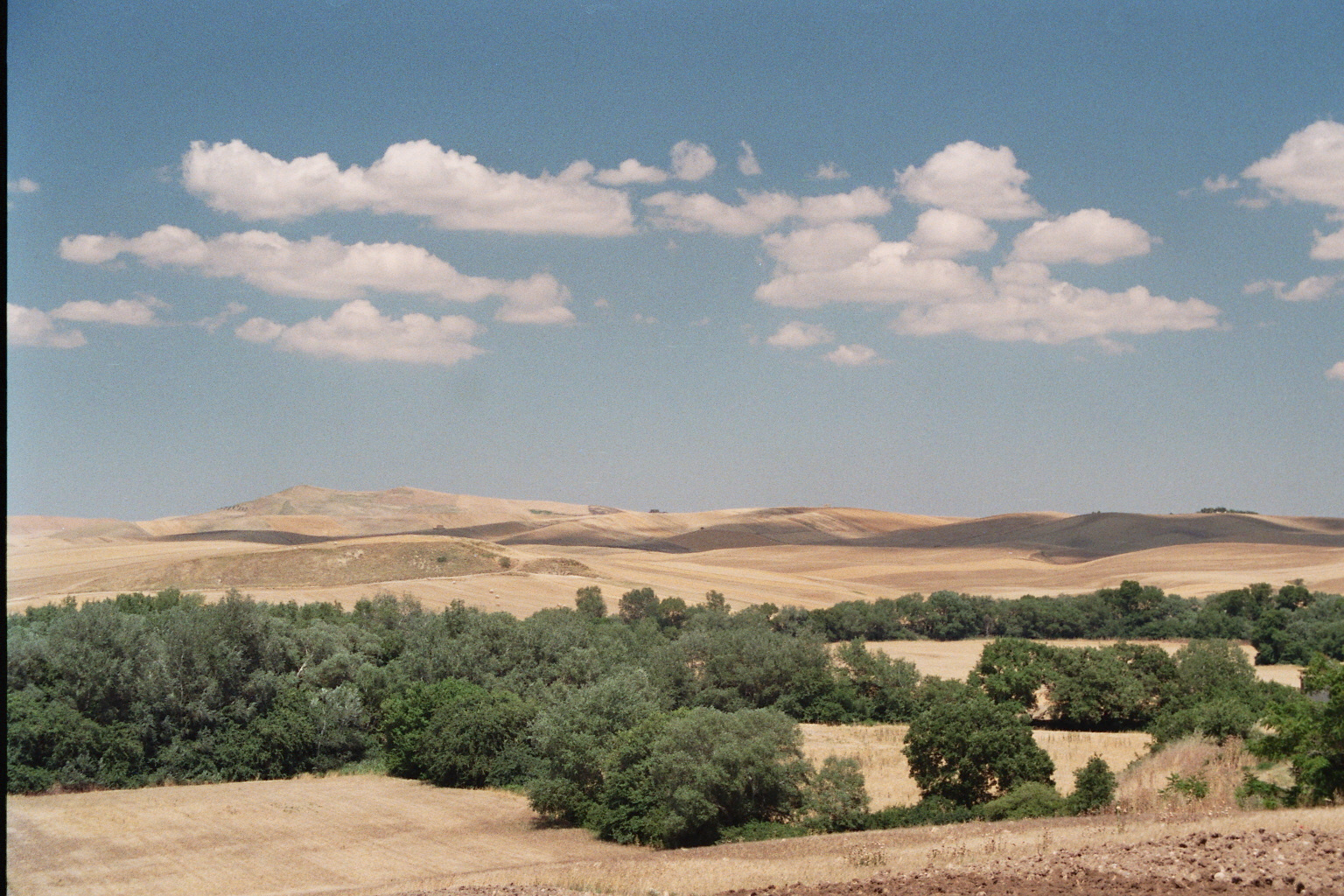 Hills of Puglia