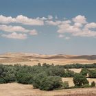 Hills of Puglia