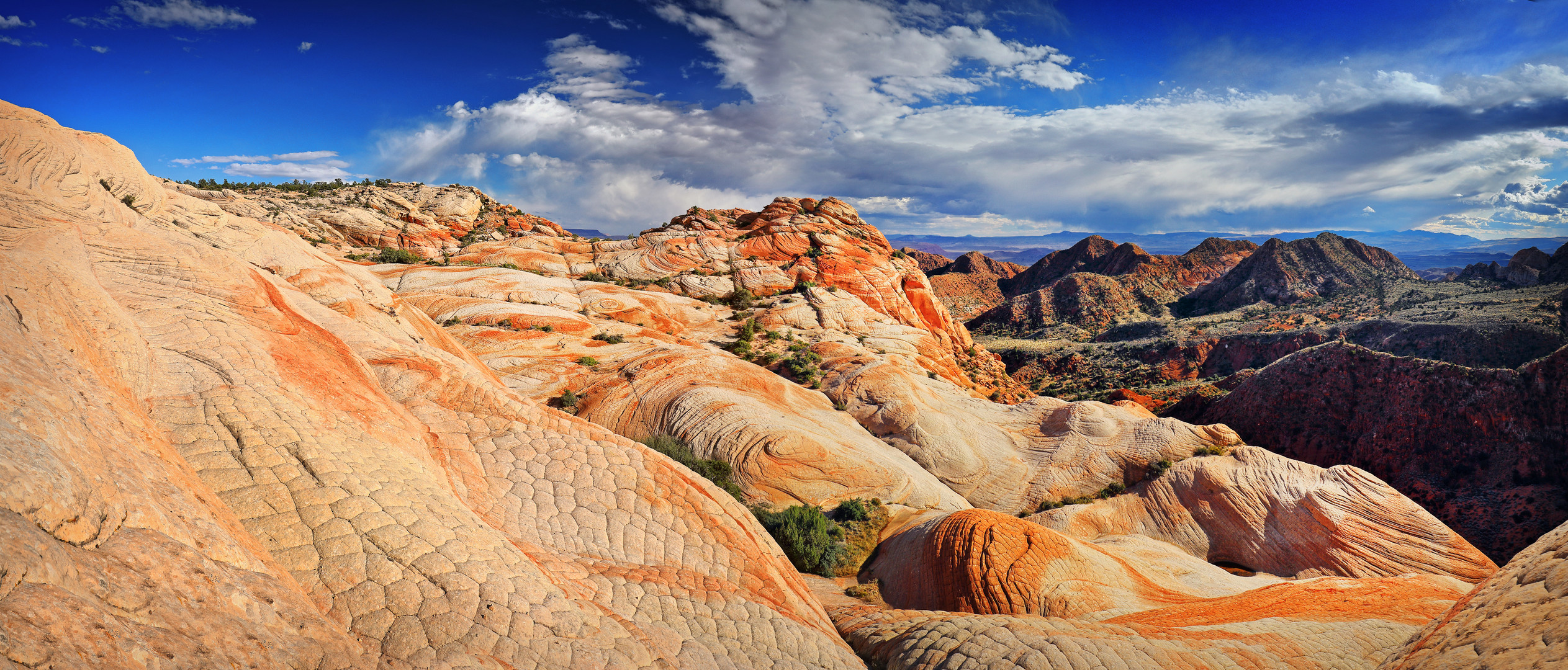 ~ HILLS OF ST GEORGE ~