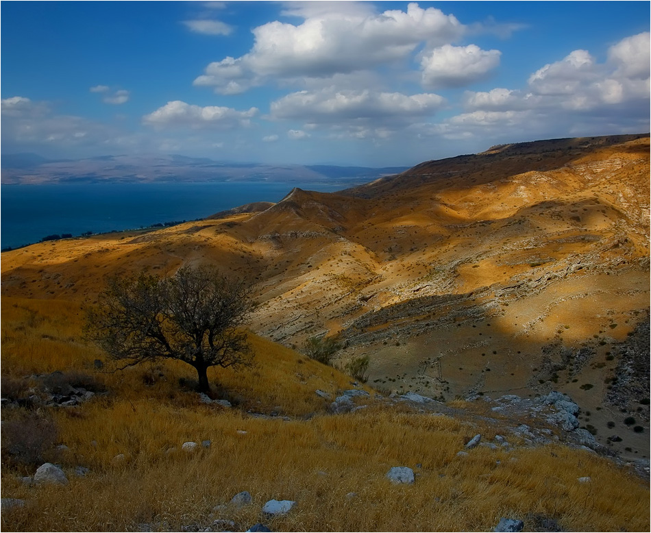 Hills of the Holy Land