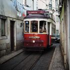 Hills Tramcar Tour