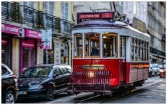 Hills Tramcar Tour