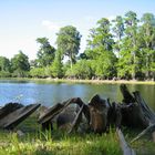 Hillsborough River