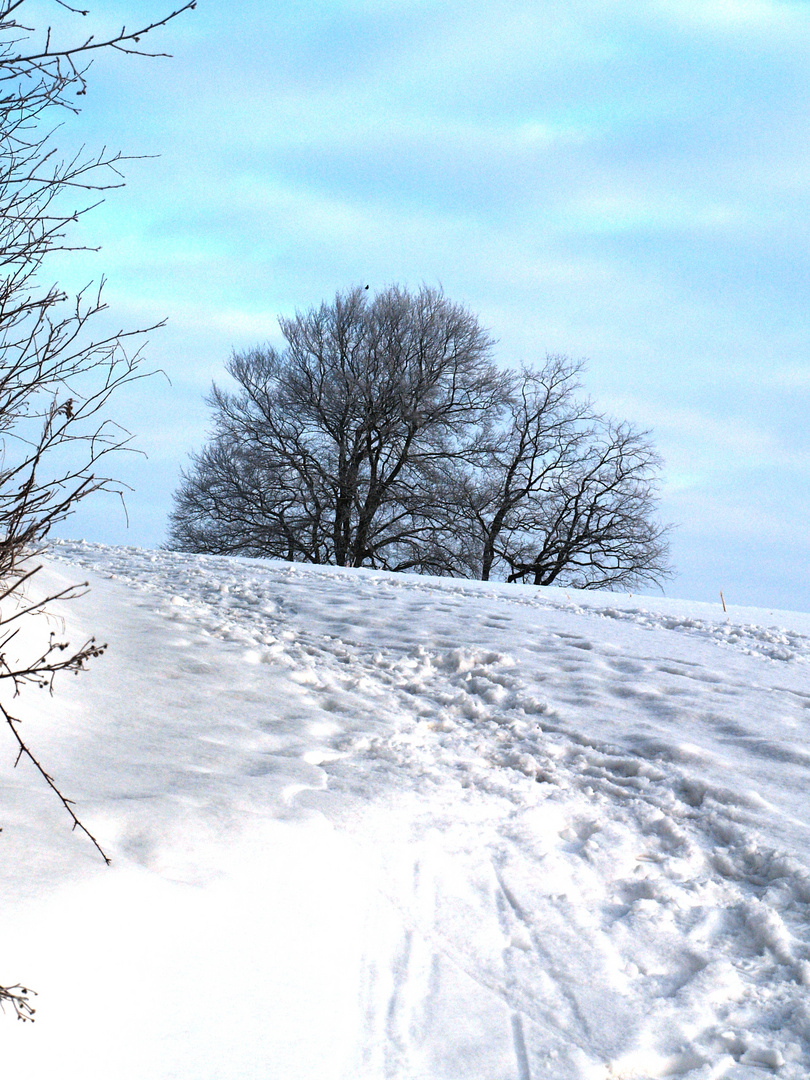 Hillup bei Tötensen ( - 15° C )