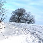 Hillup bei Tötensen ( - 15° C )