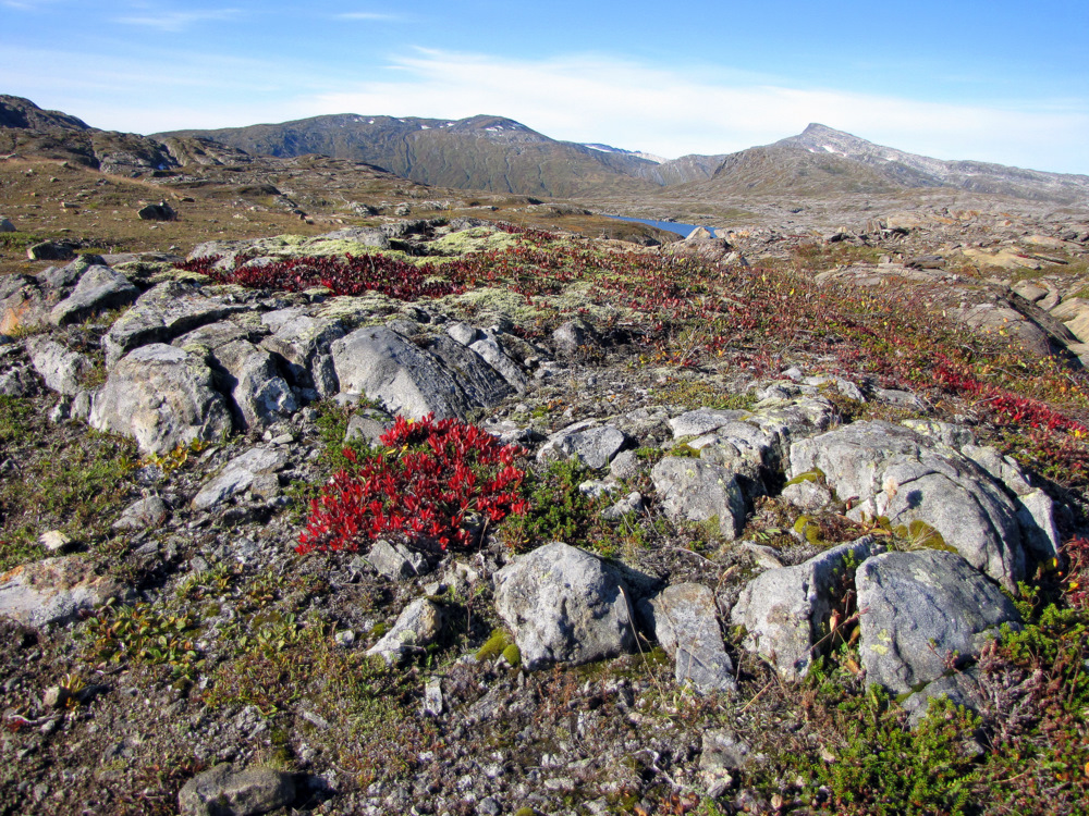 Hilsen fra Norge