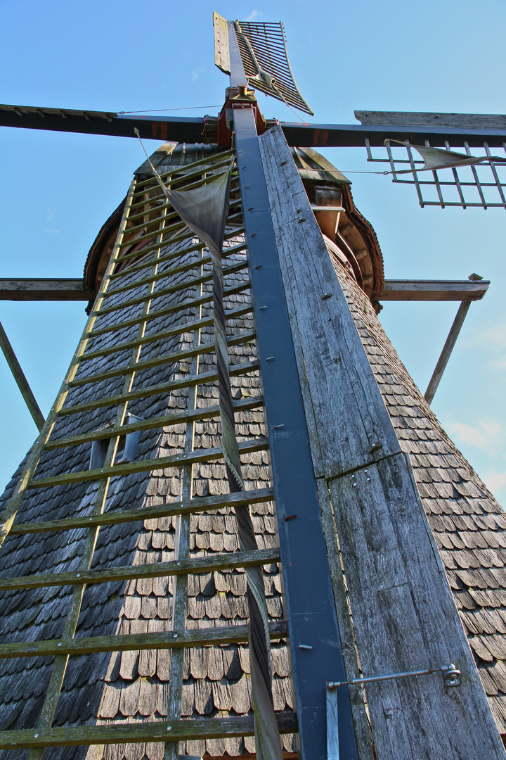 Hilter Mühle im Emsland (2014_10_19_EOS 550D_0645_ji)