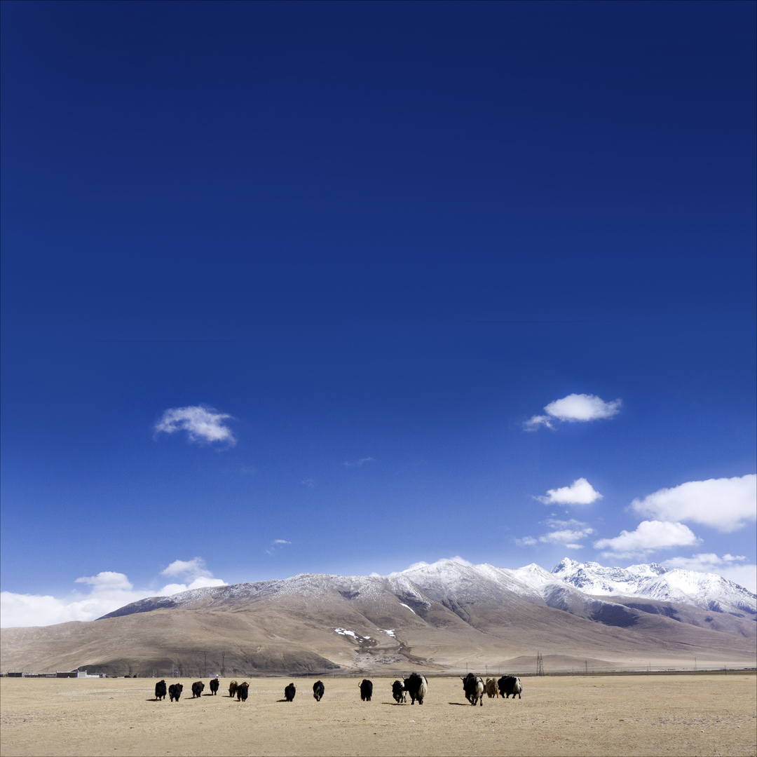himalaya Foto & Bild | china, natur, landschaft Bilder auf fotocommunity