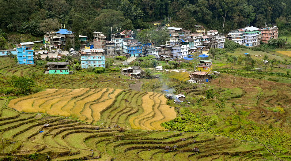 Himalaya Staat Sikkim – Bauerndorf auf zirka 1900 Meter über Meer