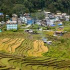 Himalaya Staat Sikkim – Bauerndorf auf zirka 1900 Meter über Meer