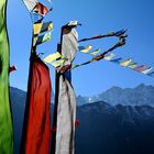 Himalaya Staat Sikkim - Im Wind wehende Gebetsfahnen