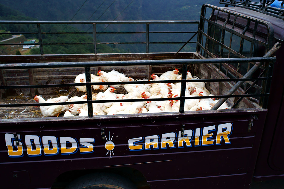 Himalaya Staat Sikkim (Indien) – „Goods Carrier“ sicher nicht für die Hühner