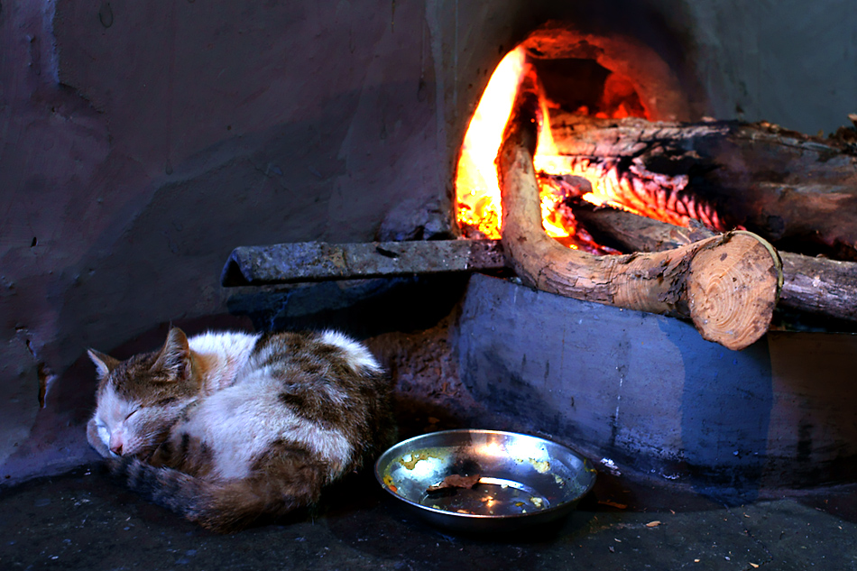 Himalaya Staat Sikkim (Indien) – Perfekter Platz für die Katze