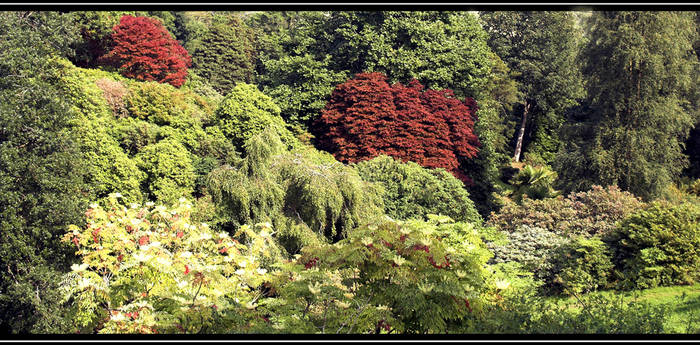 Himalayan Gardens at Muncaster Castle