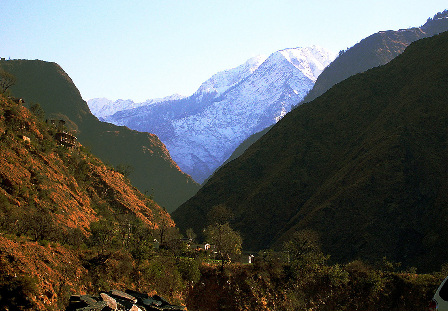 Himalayan Morning 