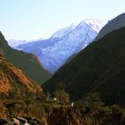 Himalayan Morning 