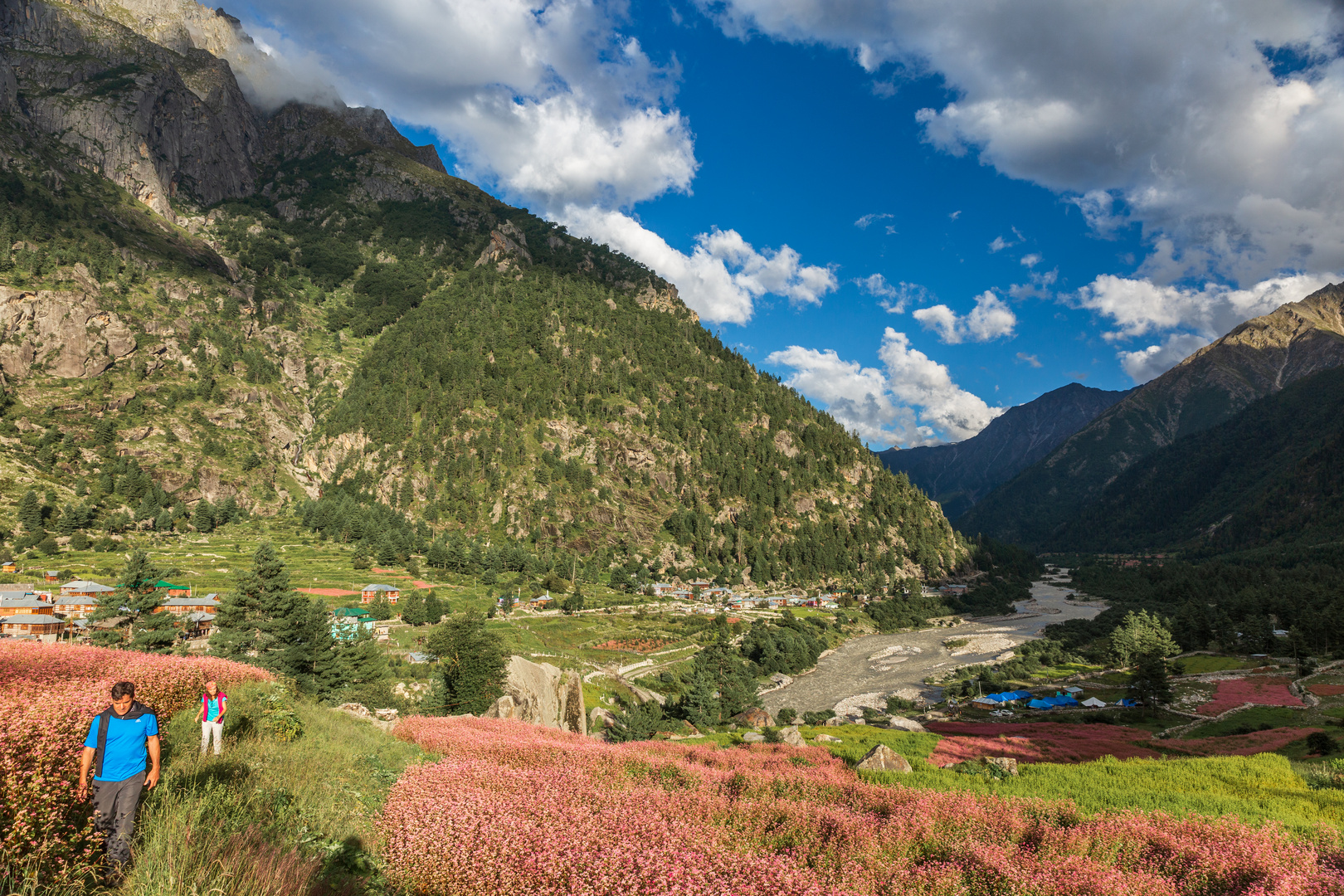 Himalayan Splendor